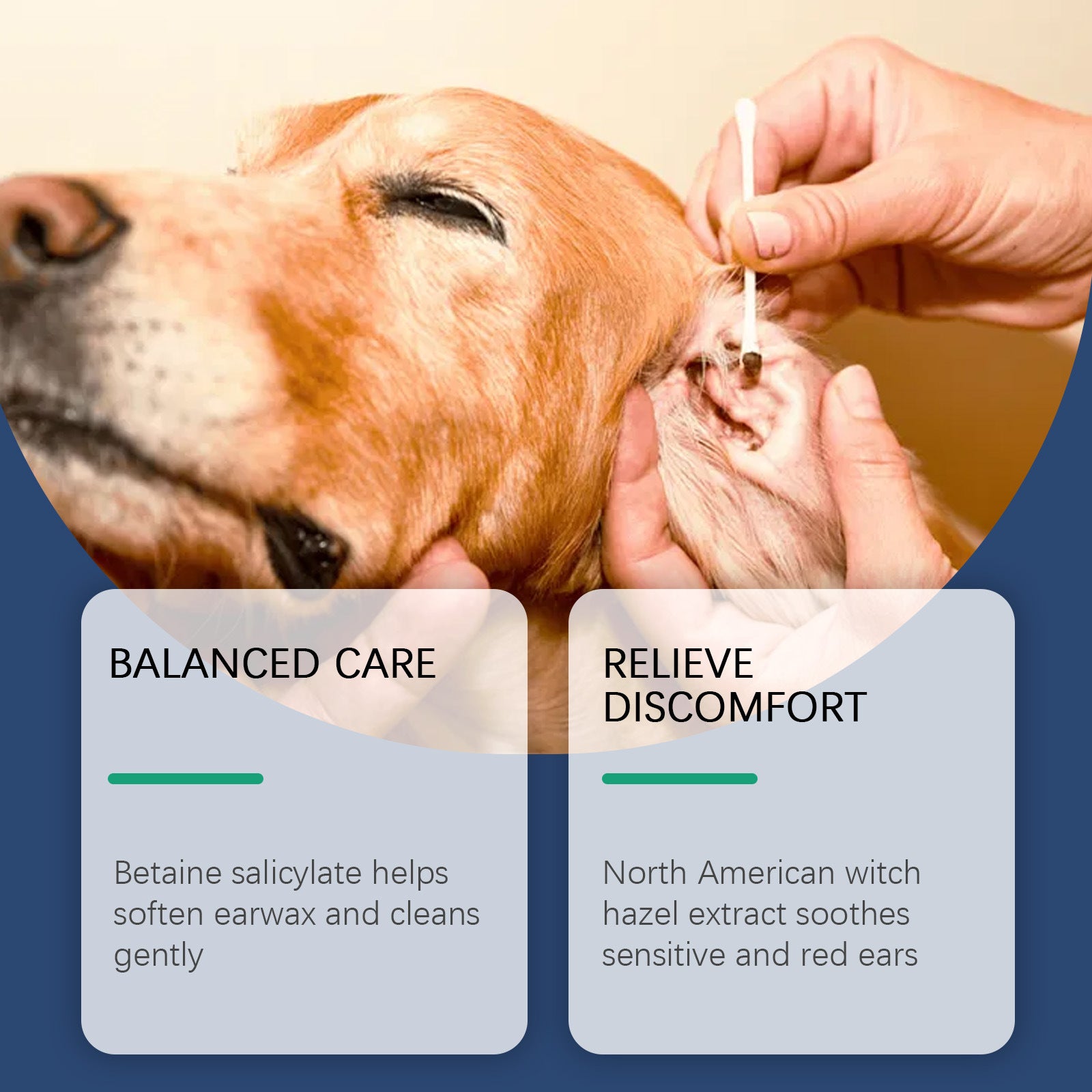 Dogs And Cats Ear Cleaner Gently Removes Earwax